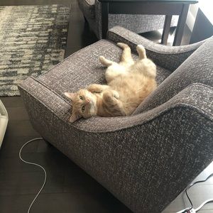 Meet your Posher, Alanah